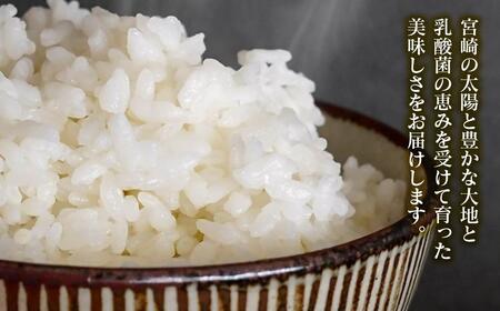 【令和8年産新米・先行予約】農家直送　こしひかり 10kg 精米済み 8月より発送開始＜57-3a＞