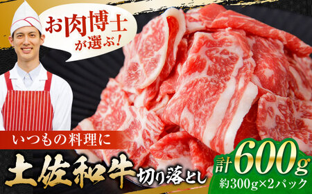 高知県産 土佐和牛切り落とし 約300g×2 / 牛肉 切り落とし 国産牛肉 牛肉すきやき 牛肉 切り落とし 国産牛肉 牛肉すきやき  [ATAP079]