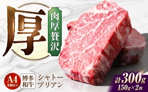 シャトーブリアン 300g（150g×2）博多和牛 ステーキ ヒレ 和牛 国産 しゃとーぶりあん chateaubriand ヒレ ひれ ステーキ 和牛 国産 ステーキ シャトーブリアン ヒレ ひれ 希少 しゃとーぶりあん 肉 和牛 シャトーブリアン A4 A5 牛肉 赤身 高級 ブランド牛 贅沢 おすすめ 人気 フィレ 九州 福岡県産 広川町 / 肉のくまもと屋株式会社 [AFCN005-CP]