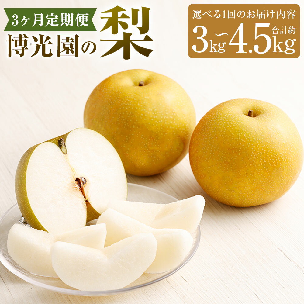 【ふるさと納税】【選べる容量】【2ヶ月定期便】 梨 3kg (計6kg) / 4.5kg (9kg)【2026年9月下旬-10月下旬発送予定】 3回定期便 なし ナシ 果物 果実 フルーツ 定期便 国産 九州 福岡県 嘉麻市 常温 送料無料