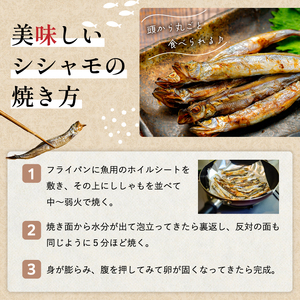 訳あり ししゃも 子持ちシシャモ 1.5kg （500g×3袋） 傷 小分け mi0012-0116