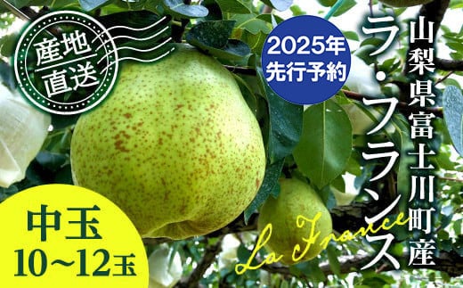 
            【2025年発送分 先行予約】 ラ・フランス 中玉 10-12玉 (約3.5kg) ※2025年10月中旬以降発送予定　洋ナシ 洋梨 フルーツ 果物 富士川町
          