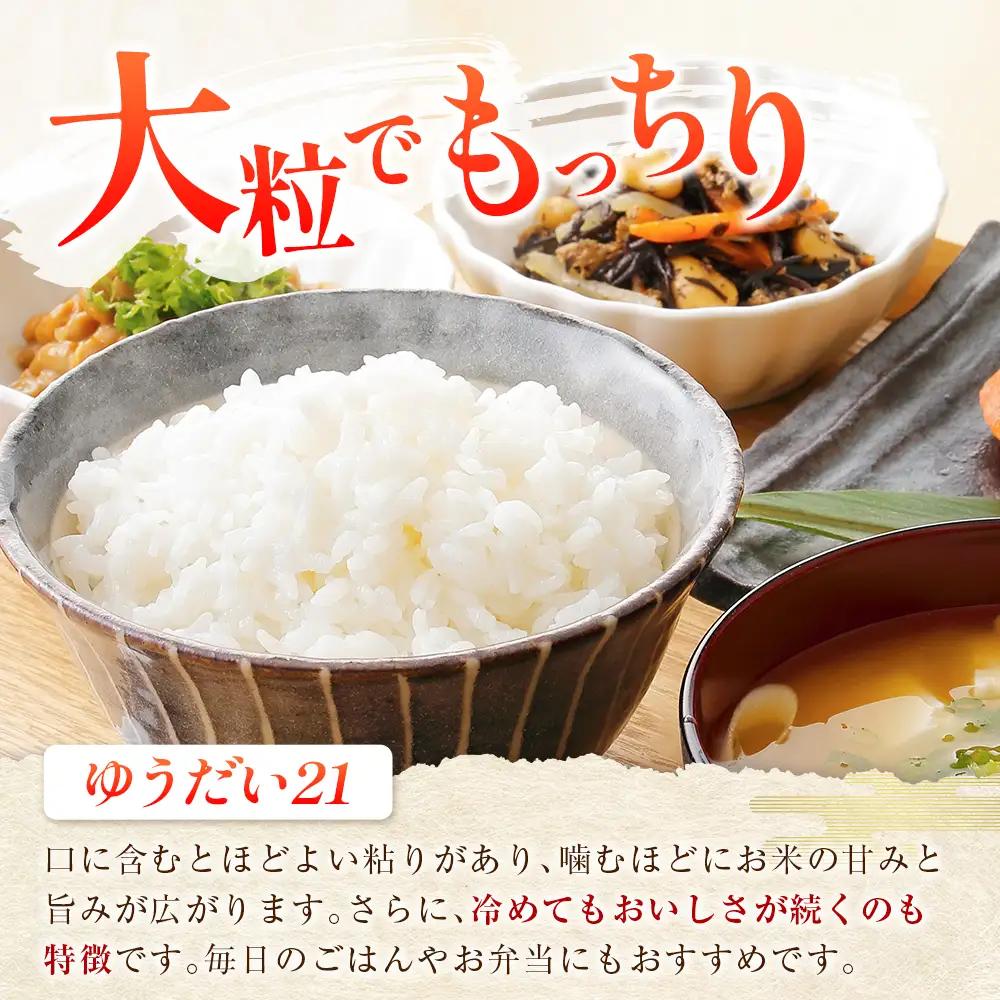『定期便』全3回 ゆうだい21 精米 10kg 大朝の米 栄ファーム 毎月届く定期便 米どころ北広島町のおいしいお米_SA091_014s3