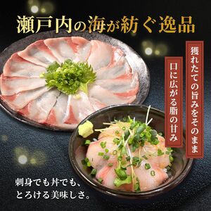 天然 はまち刺身 約500g ハマチ 冷凍