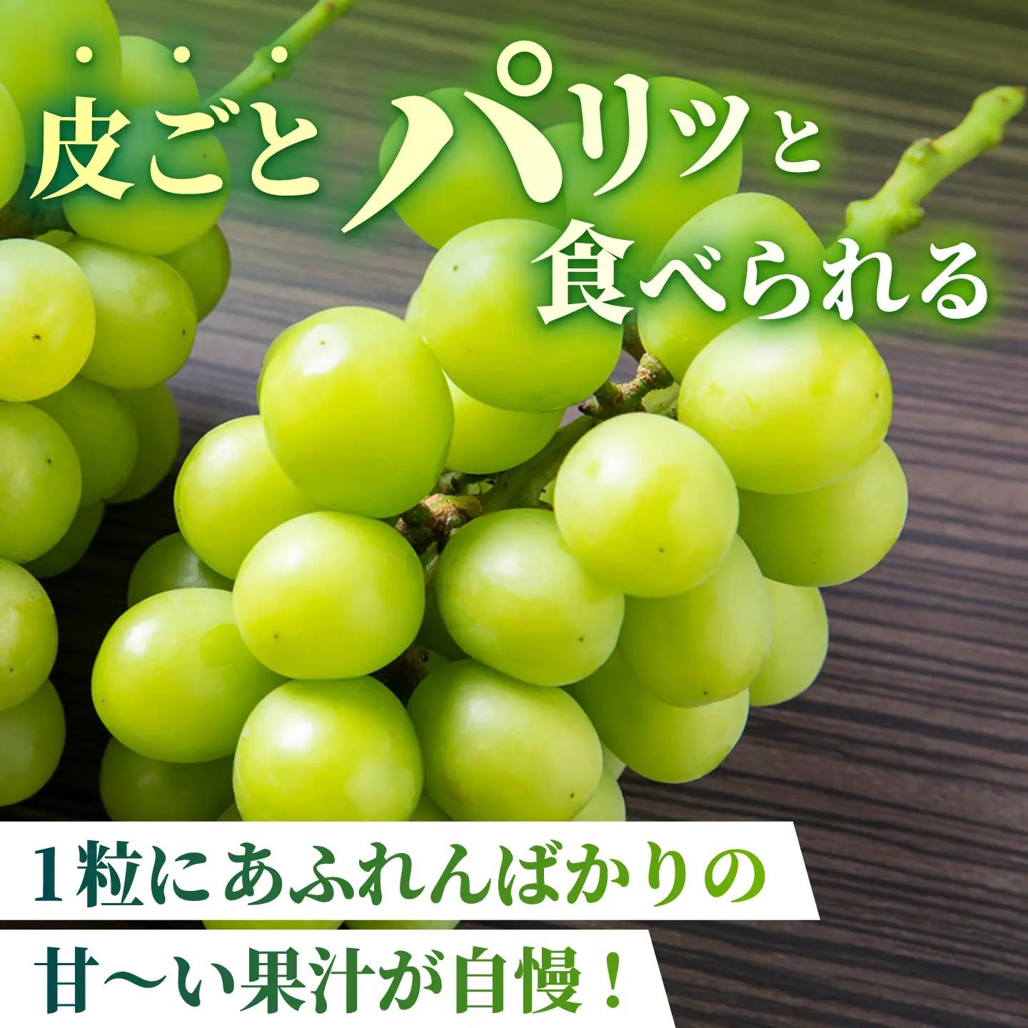 【訳あり】 シャインマスカット 約700g(1～2房)  マスカットフルーツ 果物 ぶどう【合同会社 社方園】[ZBZ027]