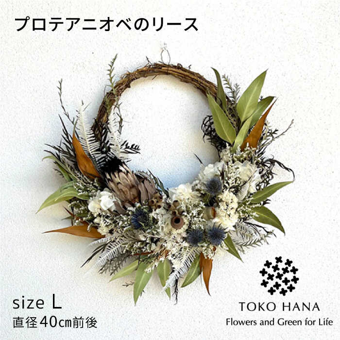 【ふるさと納税】プロテアニオベのリース（Lサイズ） 糸島市 / tokohana ドライフラワー アレンジ[AOC033] 47000円