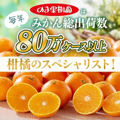 のま果樹園の媛まどんな(約2kg)バラ詰め【1759317】