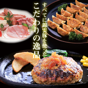 お米育ちの錦雲豚バラエティギフト（ハム類・餃子・ハンバーグ・カレーのセット）　FN0601