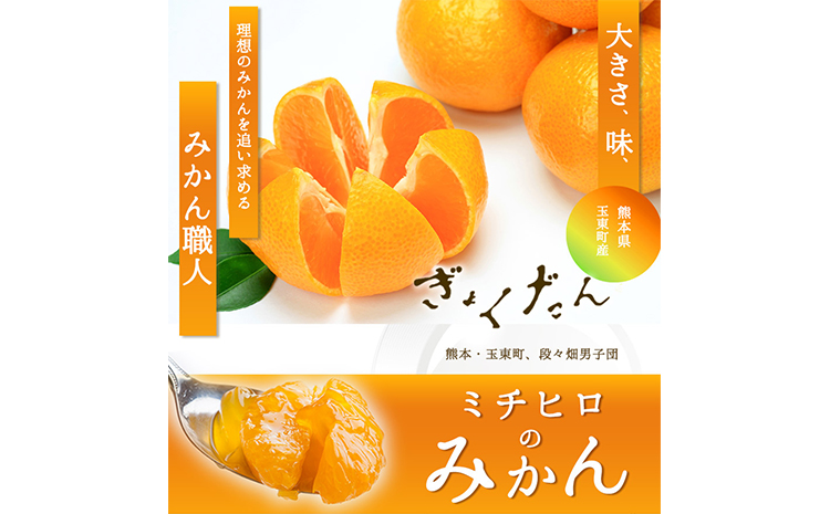 ぎょくだん『ミチヒロ』のみかん 約5kg(サイズおまかせ) 《10月下旬-1月下旬出荷》 予約受付中 フルーツ 秋 旬 熊本県玉名郡玉東町『熊本・玉東、玉東町段々畑男子団。』みかん ぷらっとぎょくとう