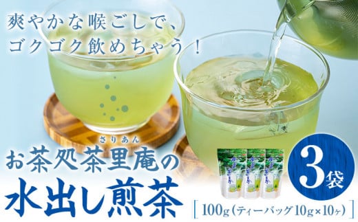 水出し煎茶 100g(10g×10個)  3袋 お茶処茶里庵 さりあん《90日以内に出荷予定(土日祝除く)》徳島県 美馬市 お茶 茶 緑茶 日本茶 煎茶 深蒸し煎茶 深蒸し 水出し ティーバッグ ティ