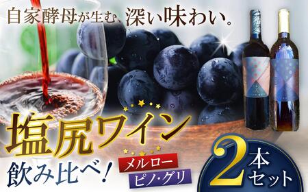 霧訪山シードル ワイン飲み比べ2本セット（メルロー/ピノ・グリ） 