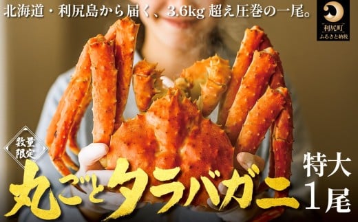 
            北海道 利尻島産 タラバガニ 丸ごと１尾 3.6kg以上 冷凍ボイル 国産 蟹 たらば カニ  茹で蟹 魚介類 (利尻漁業協同組合)
          