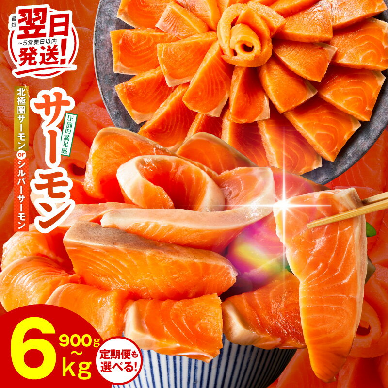 【ふるさと納税】最短翌日発送 サーモン ポーション 1kg / 1.5kg 切り落とし 900g 定期便 訳あり 発送時期が選べる サイズ不揃い 鮭 シルバーサーモン 小分け ブロック 柵 刺身 生食 鮮度抜群 冷凍 楽天限定 大阪府 泉佐野市 送料無料 満足度9割以上 5営業日 圧倒的企業努力
