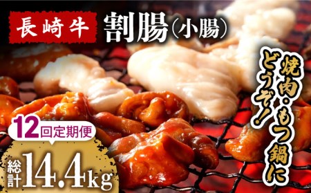 【12回定期便】長崎牛 割腸（小腸） 焼肉・ホルモン 鍋 用 1.2kg  / 鍋 なべ やきにく ホルモン 牛肉 もつ鍋 / 南島原市 / はなぶさ [SCN120]