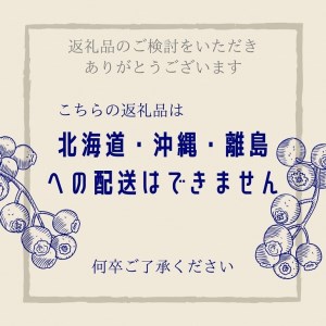 【先行予約】＜すだ農園＞栽培期間中農薬不使用 朝摘み ブルーベリー 生果実 1kg ≪果実 新鮮 フルーツ≫※北海道・沖縄・離島への発送不可 ※2024年7月上旬～8月中旬頃に順次発送予定