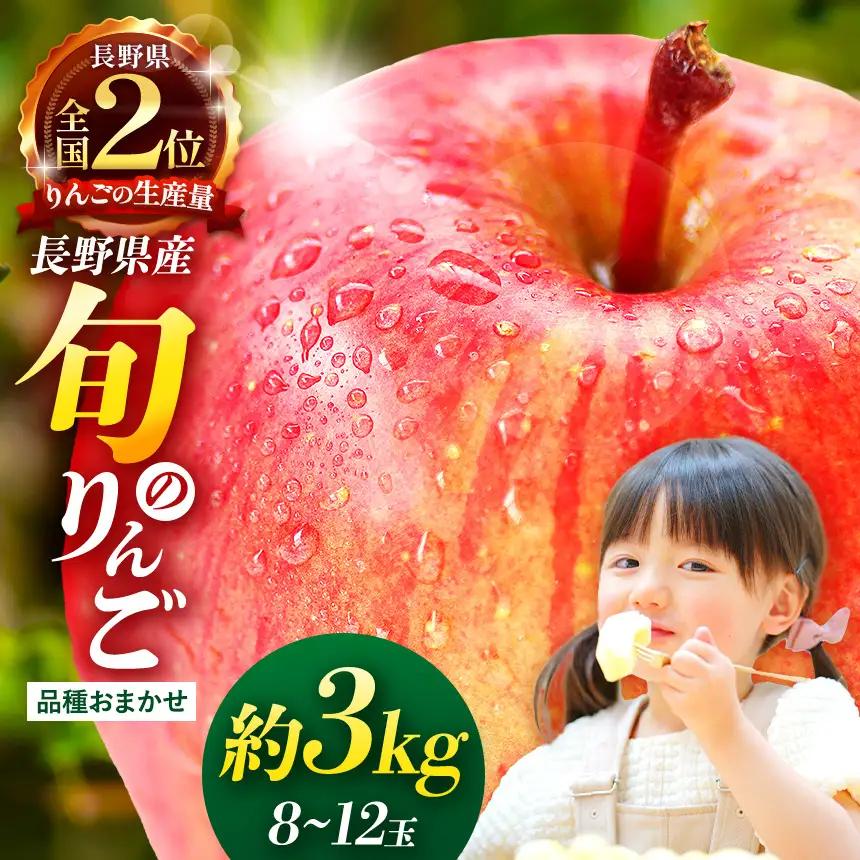 【先行受付】信州産りんご【品種おまかせ】約3kg (8～12玉)　【秋映・シナノスイート・シナノゴールド・名月・サンふじ・グラニースミス・あいかの香り】