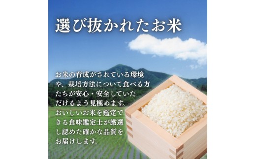 令和8年産 新潟県上越産こしひかり 精米 15kg 上越市 米 コメ コシヒカリ ファインリョーコク