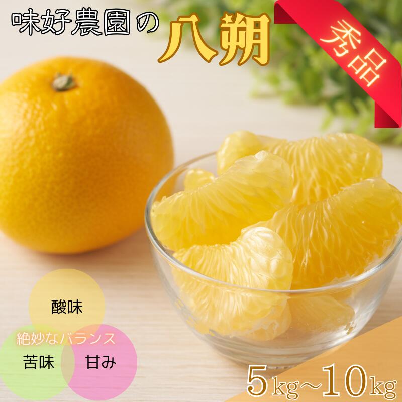 【ふるさと納税】秀優品 八朔 5kg～10kg 《 レビューキャンペーン 実施中 ! 》【M～3Lサイズ混合】【2026年2月上旬から2026年4月中旬頃に順次発送】/みかん 八朔 和歌山 フルーツ 果物 柑橘 甘い ジューシー