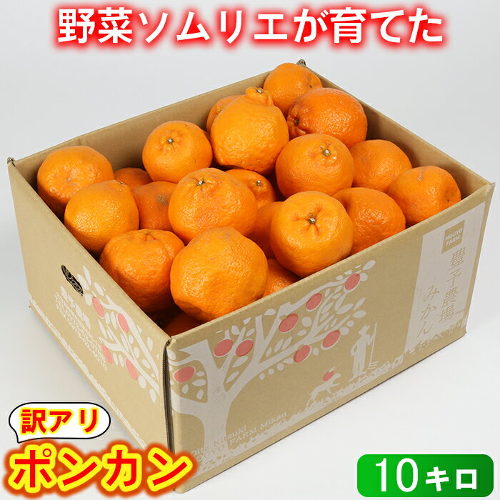 【ふるさと納税】【訳あり・規格外品】野菜ソムリエ石児さんの「ポンカン（みかん） 10kg」 ミカン みかん 柑橘 10kg 柑橘類 ぽんかん 訳あり フルーツ 先行予約 ＜103-010＞