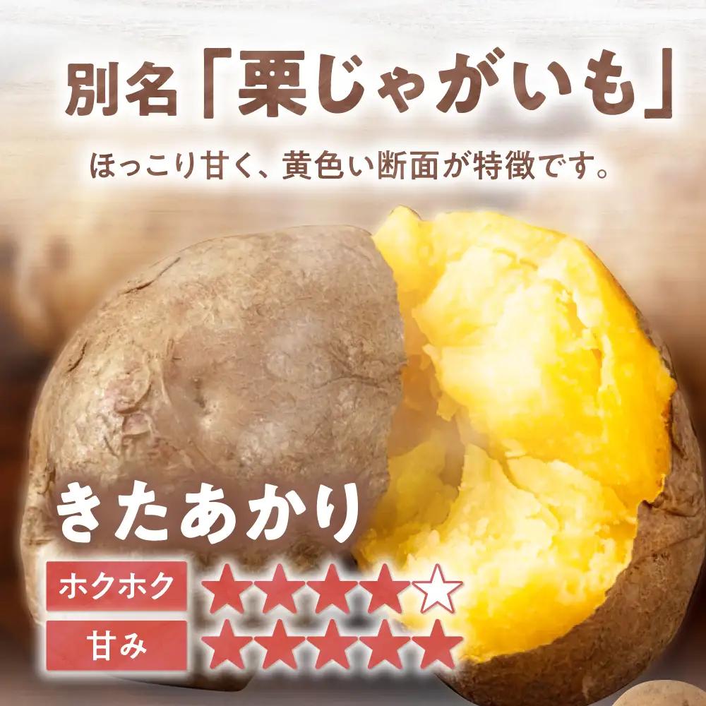  【先行予約】じゃがいもキタアカリ 20kg [AJAK011] じゃがいも