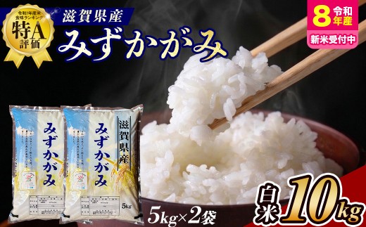【令和8年産 新米 先行予約】近江米みずかがみ10kg（精米）※2026年9月～発送