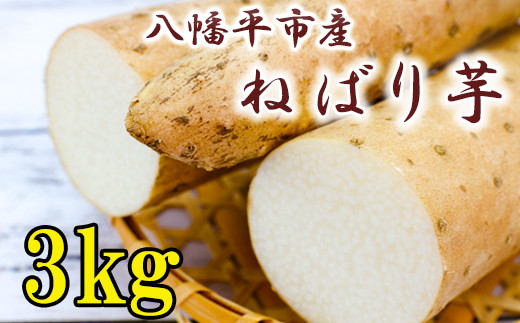 ＜12月上旬発送開始予定＞  岩手県産 敦子さんが育てたねばり芋 3kg ／ 長いも 長芋 ながいも ねばり芋 ねばりいも 山芋 やまいも 山いも やま芋 農家直送 産地直送 とろろ とろろご飯 ご飯のおとも ご飯のお供 やまかけ 山かけ 旬 新鮮 野菜 八幡平市産