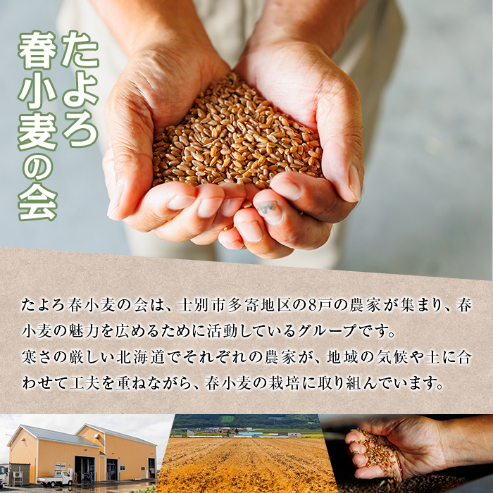【B7028】＜北海道士別市産小麦＞ たよろの春よ恋 強力粉 ( 1kg×4袋・計4kg) 【2026年1月20日以降発送予定】小麦 小麦粉 強力粉 春よ恋 北海道産 士別市産 国産 国産小麦粉 パン