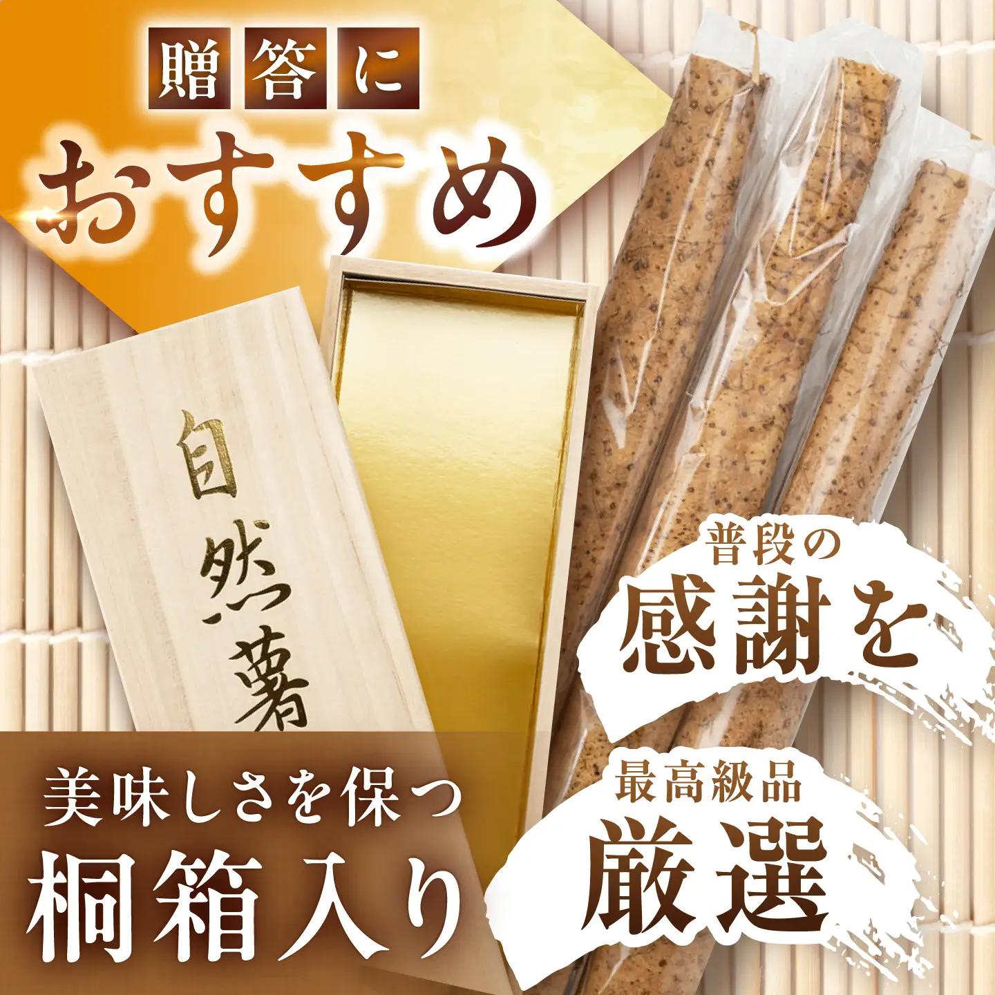 【贈答用】高級自然薯 桐箱入（800g） / 恵那市 / 水戸屋 [AUFZ008]