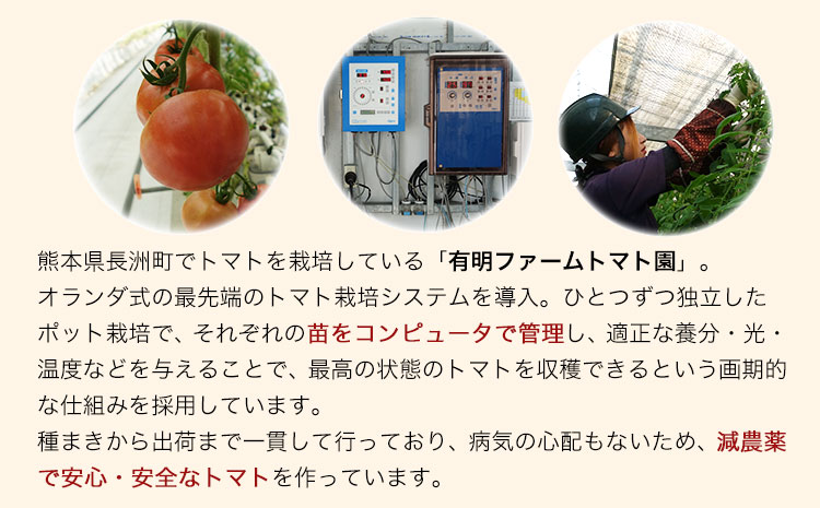 超絶トマットロケチャップ(200g×4個) 《45日以内に出荷予定(土日祝除く)》 四ツ山食品