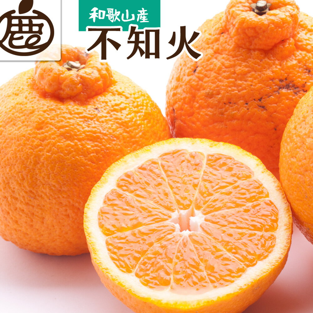 【ふるさと納税】 不知火 （ しらぬい ） 厳選 光センサー / デコポン 高級 甘い 和歌山 柑橘 6000円 9000円 5kg 10kg ※2月上旬～3月下旬に順次発送 ※北海道・沖縄・離島への配送不可 //dekopon