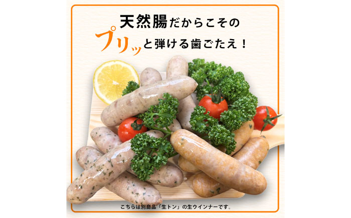 生チキ【みつせ鶏プレーン味】鶏生ウインナー 計10本（各40g×5本×2P）/ ソーセージ / 佐賀県 / 山代ガス株式会社 旬菜舎さと山 [41AABM053]