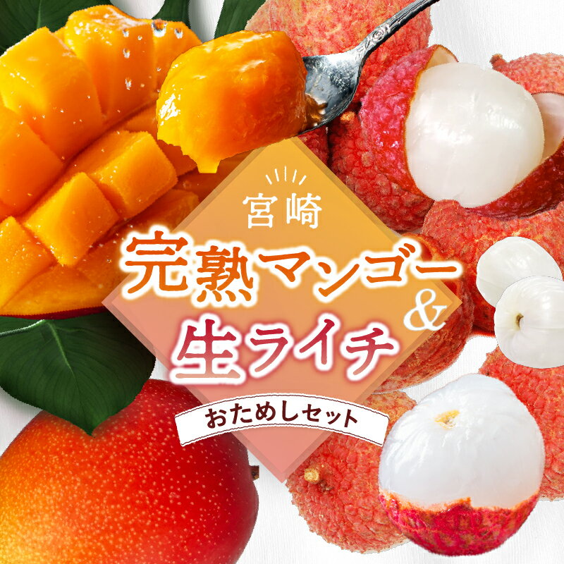 【ふるさと納税】 【2025年先行予約】 完熟マンゴー＆生ライチセット 宮崎県産 綾町 マンゴー ライチ 果物 フルーツ 先行受付 予約 産地直送 期間限定 濃厚 甘い 産地直送 お中元 送料無料
