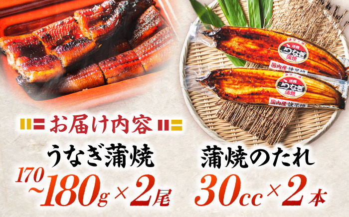 【最速発送】＜諫早淡水＞特大うなぎ蒲焼2尾 / うなぎ ウナギ 鰻 特大 蒲焼き 蒲焼 国産 冷凍 うな重 うな丼 ひつまぶし 丑の日 土用の丑の日 / 諫早市 / 活うなぎ問屋 諫早淡水 [AHAT