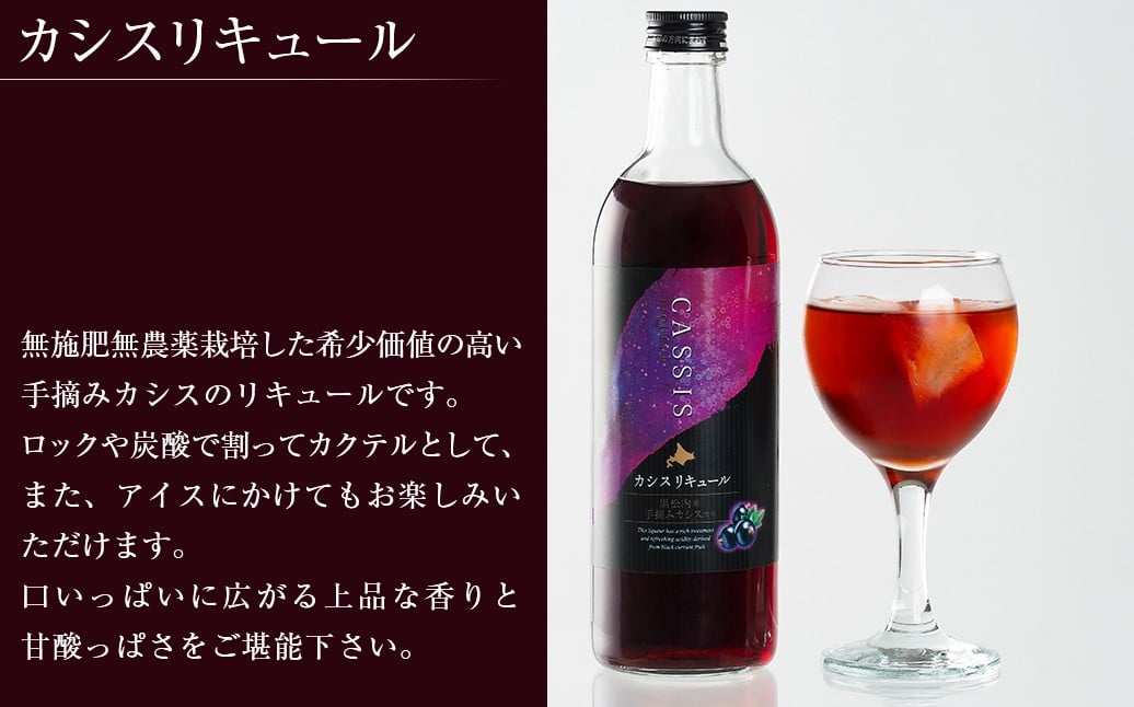 
            黒松内カシスリキュール1本セット 【 ふるさと納税 人気 おすすめ ランキング お酒 リキュール カシス カシスリキュール 手摘み 手摘みカシス ロック 炭酸割り セット 贈答 ギフト 贈り物 プレゼント 北海道産 北海道 網走市 送料無料 】 ABH1003
          