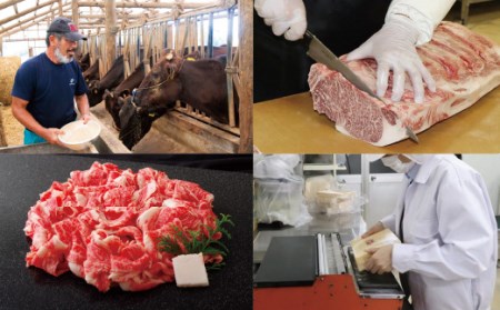 長崎和牛赤身･バラ切り落とし(600g)