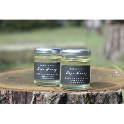 ふるさと納税 高山村 吾妻養蜂場の「無添加　完熟はちみつ」　120g×2個