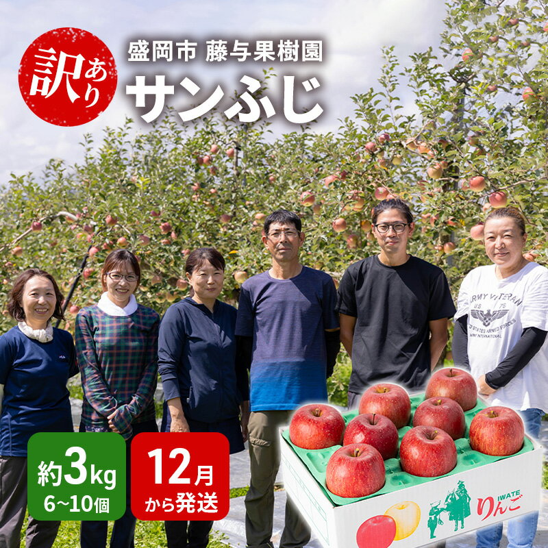 【ふるさと納税】りんご 訳あり サンふじ 約 3kg (6～11玉) 盛岡から「農で人をつなぐ」藤与果樹園 フルーツ 果物 冬 旬 旬のフルーツ 季節のフルーツ 規格外 傷 不揃い 岩手 岩手県 盛岡 盛岡市 玉数指定不可 12月から発送　お届け：2025年11月20日～2026年2月28日