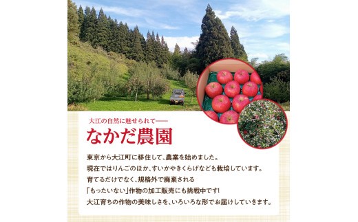 《先行受付》小玉スイカ ひとりじめ 約5kg【2026年7月上旬頃～順次発送予定】【山形県産 西瓜】