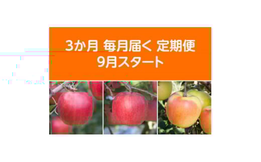 ＜発送月固定定期便＞〈2025年9月より順次発送〉青森県産りんご約5kg 全3回【4051693】