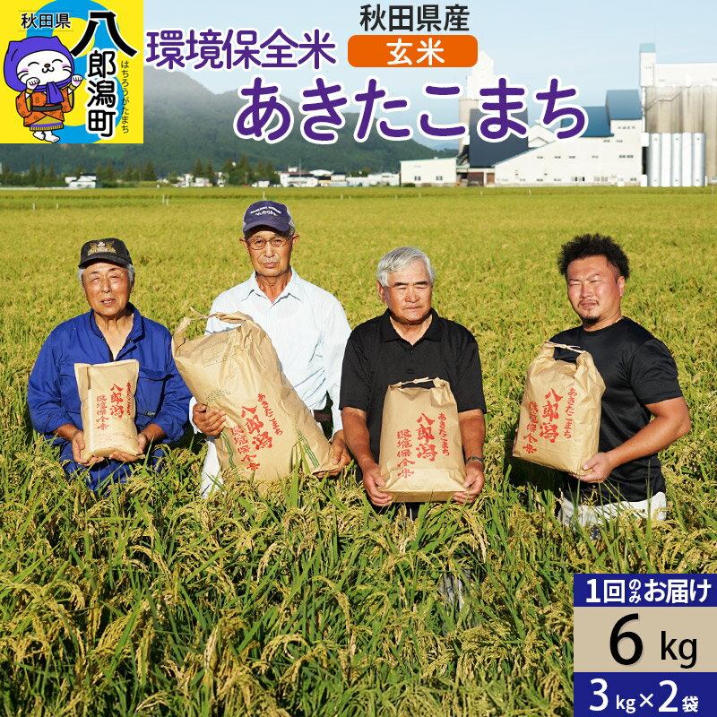 【ふるさと納税】【玄米】令和7年産 秋田県産 あきたこまち 環境保全米 6kg (3kg×2袋)