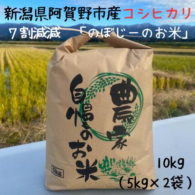 ふるさと納税 阿賀野市 【令和7年産新米】阿賀野市産コシヒカリ 「のぼじーのお米」 10kg (5kg×2袋) 7割減減