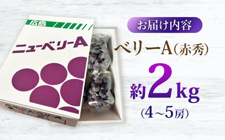 【先行予約】【9月上旬から9月中旬に順次発送】 ぶどう ベリーA 2kg（4から5房） 赤秀 露地栽培 マスカット ブドウ 果物 くだもの フルーツ ぶどう 葡萄 三次市/西田ぶどう園[APCM011