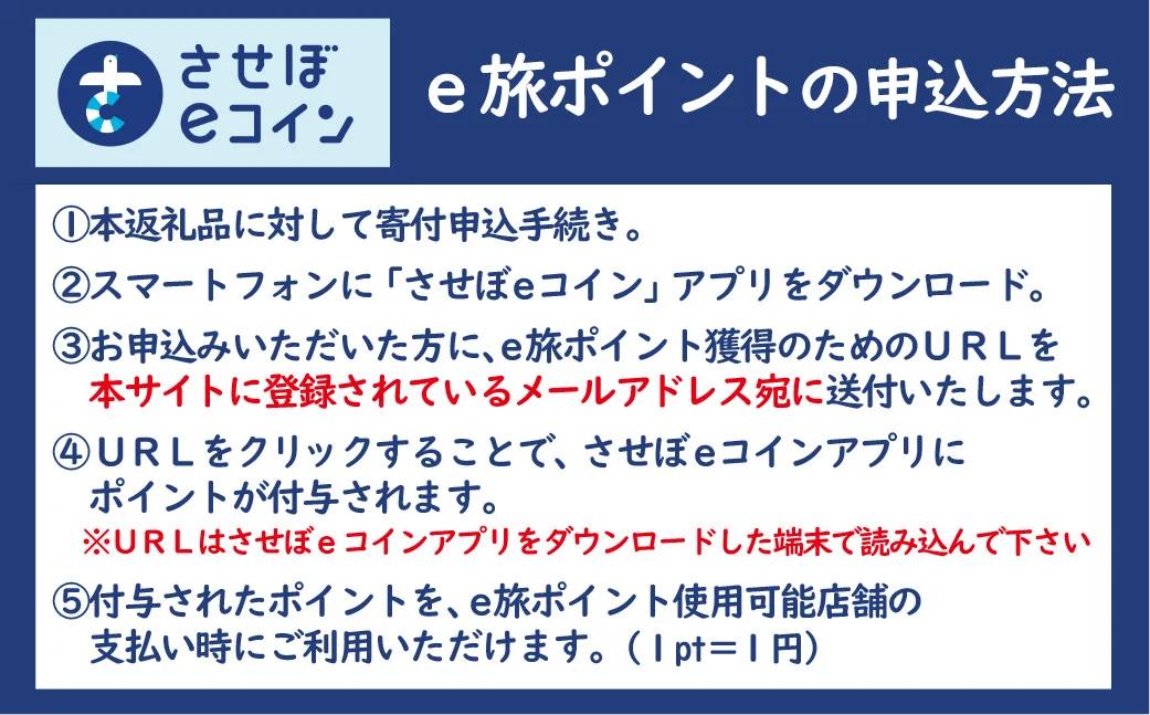 【佐世保観光で使えるポイント】させぼe旅ポイント18,000円分 観光 地域通貨 電子決済 飲食 宿泊 体験 電子通貨 ハウステンボス 佐世保宿泊券 旅行