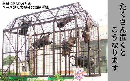 ミヤマクワガタ大型リアル模型（透明ケース付）