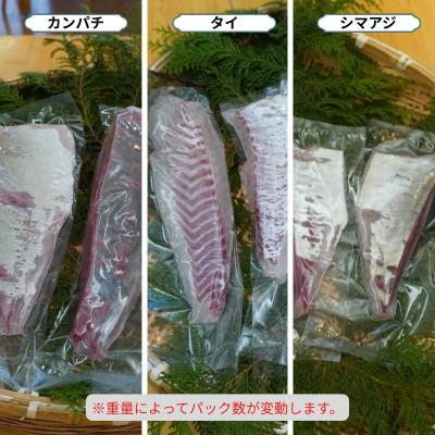 ふるさと納税 海陽町 《カンパチ・タイ・シマアジ》お刺身3種詰合せ(柵) 刺身用　小分けタイプ　冷凍でお届けします! |  | 01