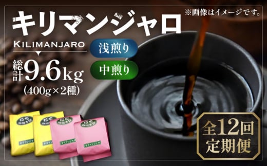 【豆でお届け】【全12回定期便】キリマンジャロ コーヒー 2種 ( 浅煎り フルーツフレーバー ＆ 中煎り チョコレートフレーバー )《豊前市》【稲垣珈琲】珈琲 コーヒー 豆 粉 [VAS193]