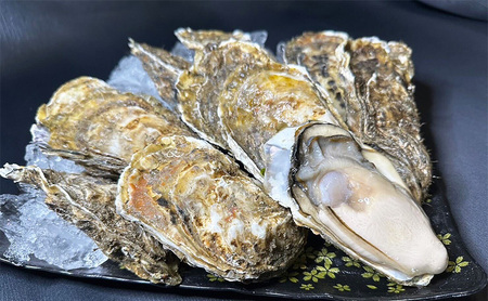 訳あり 殻付き 牡蠣 1kg 【光輝】生食用 牡蠣