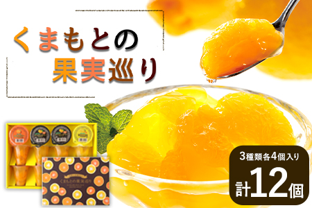 くまもとの果実巡り 3種入り各4個入り 計12個入り《60日以内に出荷予定(土日祝除く)》熊本県 葦北郡 津奈木町 あしきた農業協同組合 JAあしきた 柑橘 デコポン 甘夏 みかん 柑橘 ゼリー 3種セットギフト 包装 送料無料