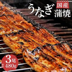 国産鰻蒲焼 3尾 480g うなぎ 鰻