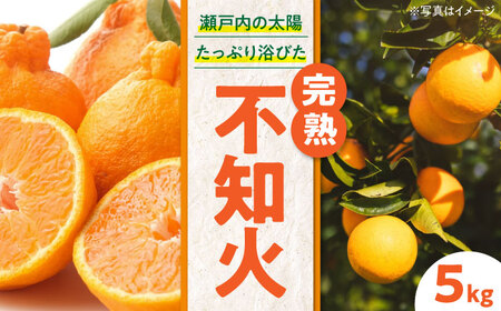 【先行予約】【2026年2月下旬から順次発送】完熟しらぬい 5kg 愛媛県大洲市/永沼農園[AGAW003] みかん 果物 フルーツ